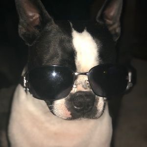 Meet your Posher, Maggie